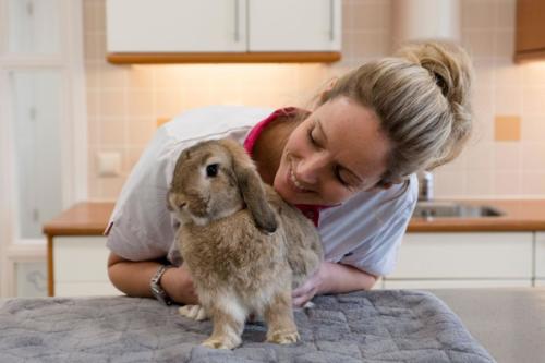 ABFH9266-Dierenpraktijk Piek Fijn Geregeld