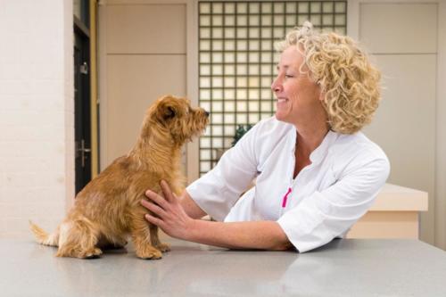 ABFH9349-Dierenpraktijk Piek Fijn Geregeld